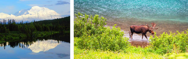 Cruisetour to Kantishna